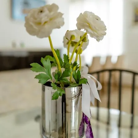 Pansion Milena I Mario 3*